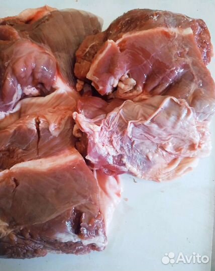 Мясо для собак,рубец,фарш,обрезь