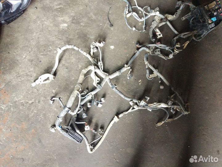 Проводка Тойота Королла Toyota Corolla 2008 г