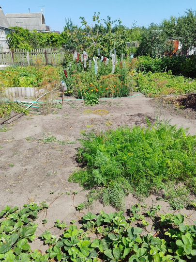 Дом 75 м² на участке 4,33 га