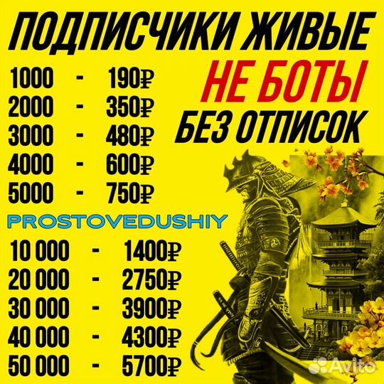 Накрутка подписчиков