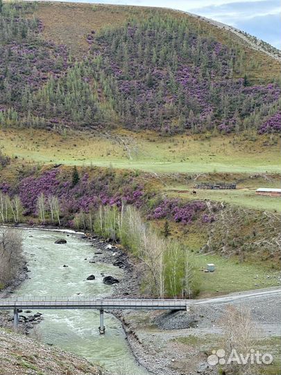 Туры по Горному Алтаю, 5 дней