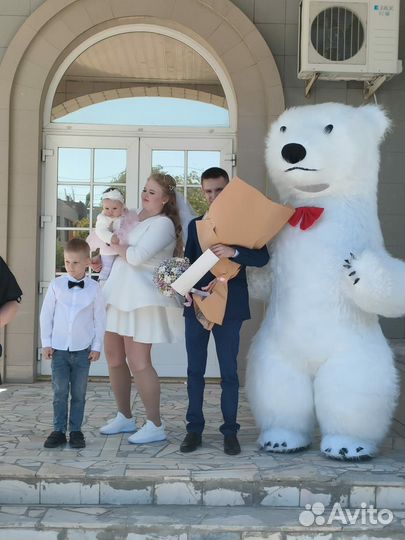 Поздравление от Белого Медведя - Ростовые куклы
