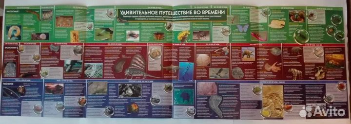 Подставка для сфер и журналов Чудеса природы