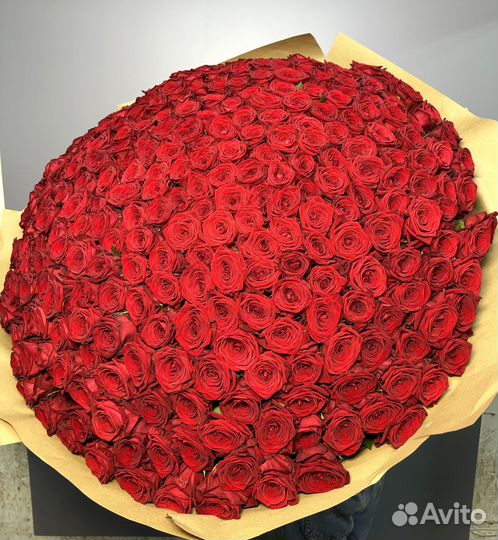 101 роза букет доставка
