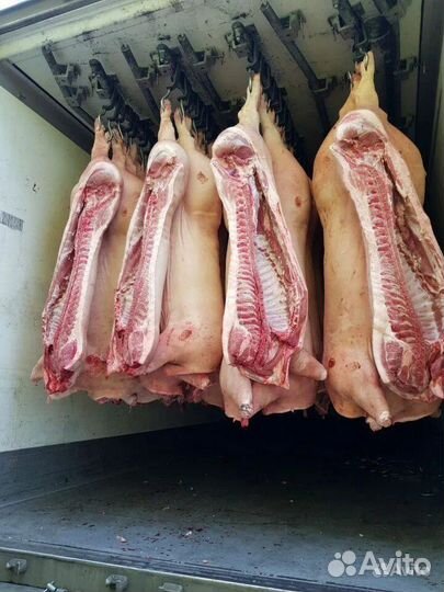 Мяса свинины оптом
