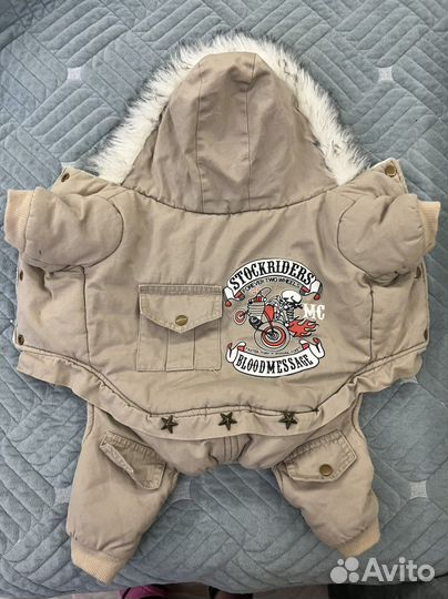 Одежда для собак зима