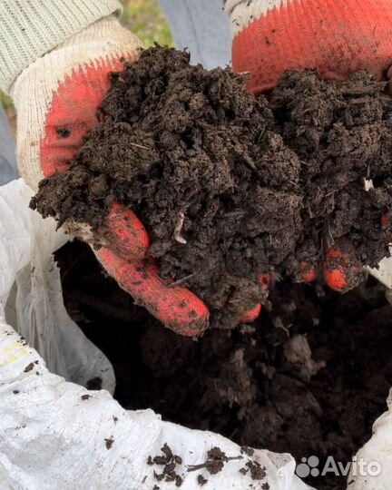 Перегной коровий в мешках