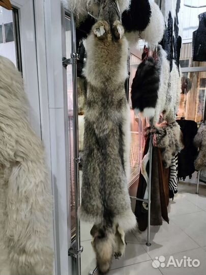 Волчья шкура