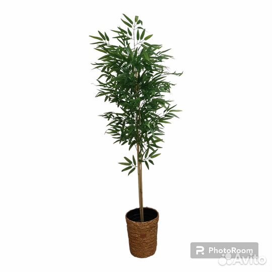 Искусственное дерево. Искусственный бамбук