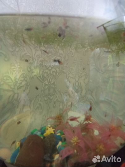 Украшения для аквариума