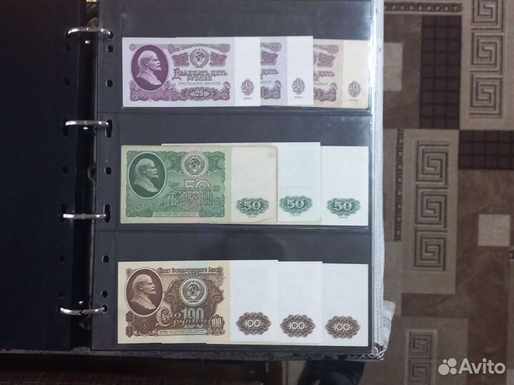 Боны рсфср, ссср, Молодой России