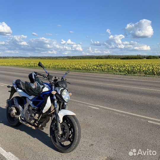 Suzuki gladius SFV 650