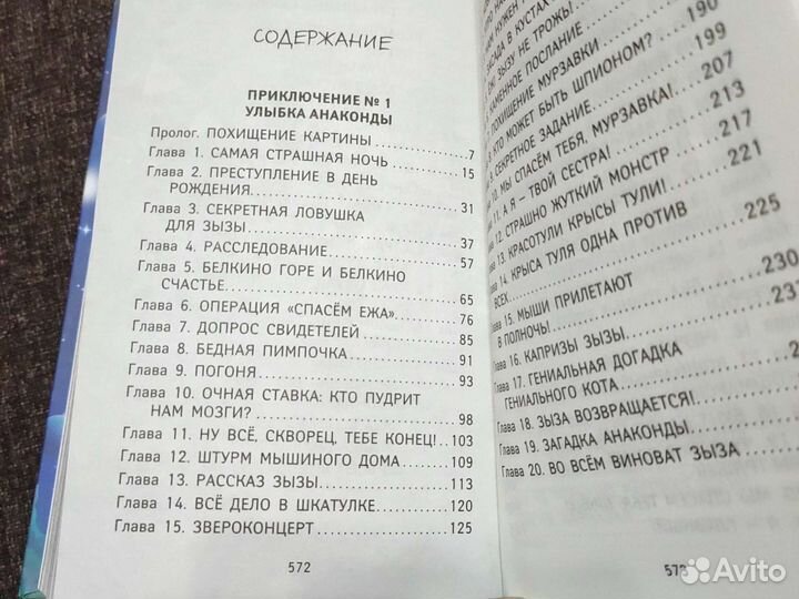 Все приключения кота да Винчи. К. Матюшкина