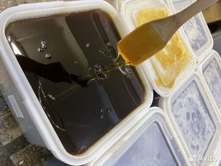 Мед свежий оптом гречишный