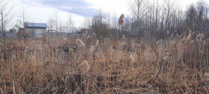 Участок 20 сот. (СНТ, ДНП)