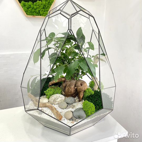 Флорариум 