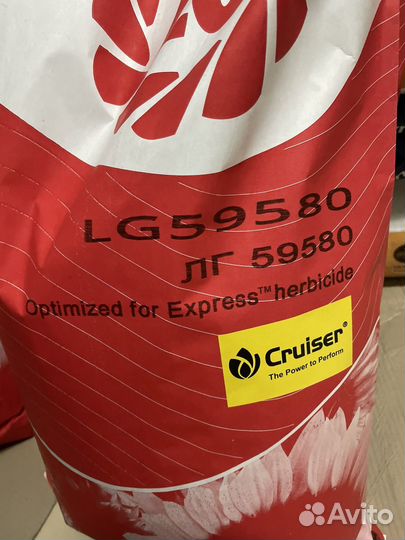 Семена подсолнечника LG 59580/5555/тунка