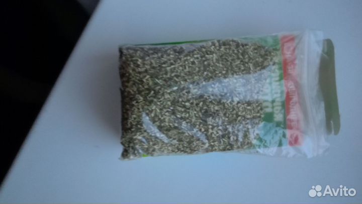 Кошачья мята