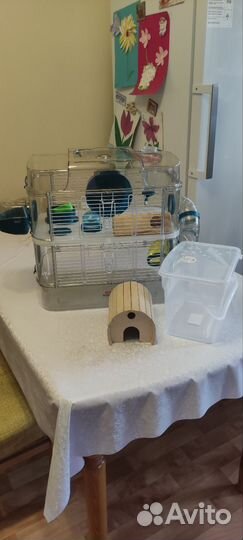 Клетка для грызунов 2-этажная+переноска+дер.вещи