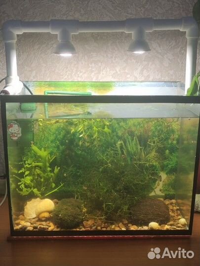 Аквариум