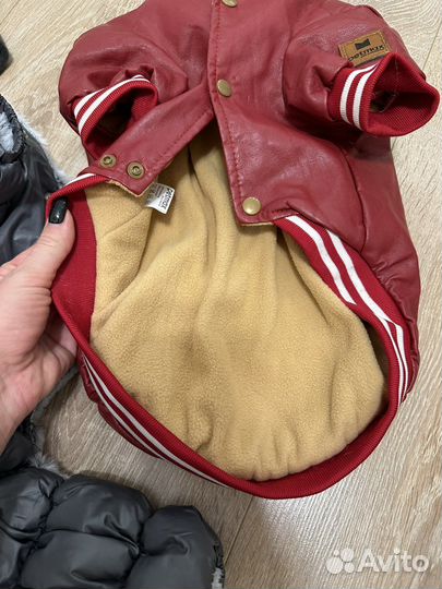 Одежда для собак и кошек