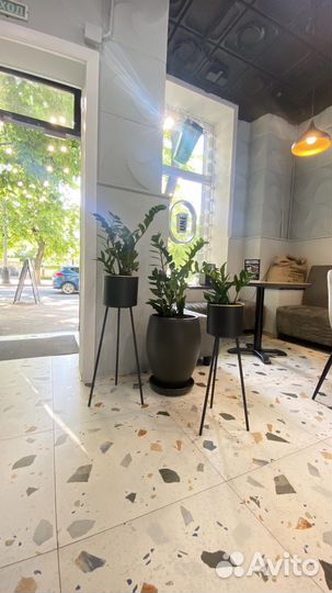 Аренда пространства в кофейне под мастер-класс