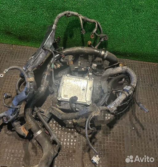 Проводка двигателя Toyota Corolla 1400 2005