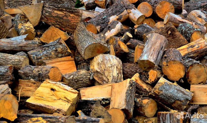 Дрова осина