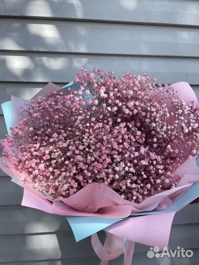 Цветы и сухоцветы,гипсофила