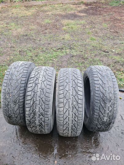 Tigar SUV Ice 215/65 R16