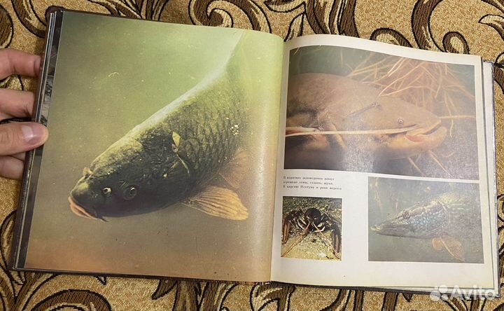 Букинистика. Астраханский заповедник