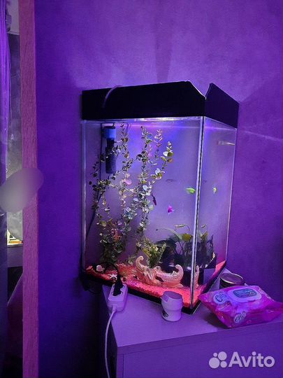 Аквариум 100 литров