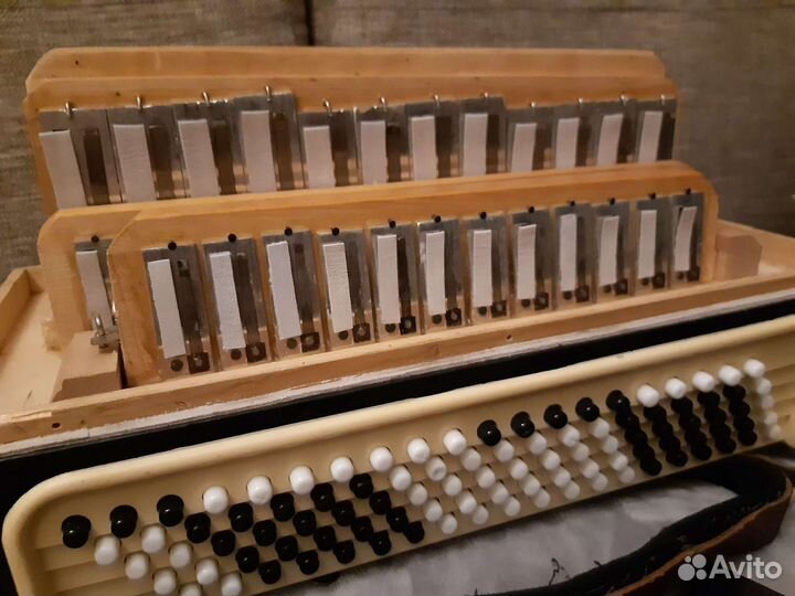 Аккордеон,баян,гармонь-ремонт