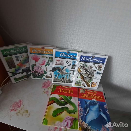 Энциклопедии для школьника