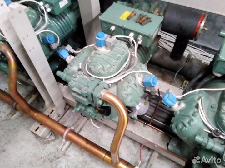 Шоковая заморозка