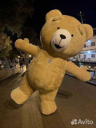Поздравления от Тедди ростовая кукла медведь