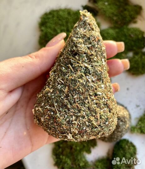 Ведьмина свеча