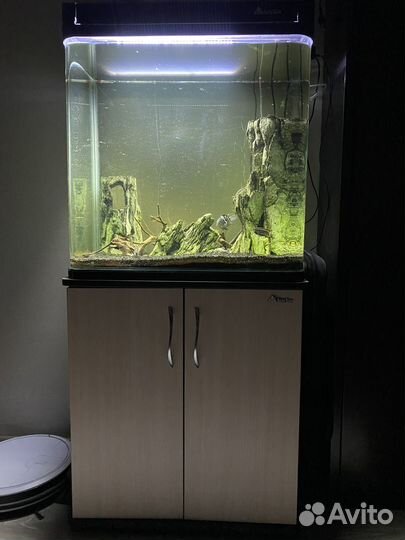 Аквариум с тумбой SunSun