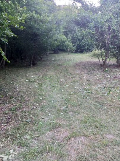 Участок 5,2 сот. (СНТ, ДНП)