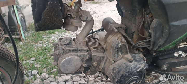 Альфа (vento riva 2 cx)