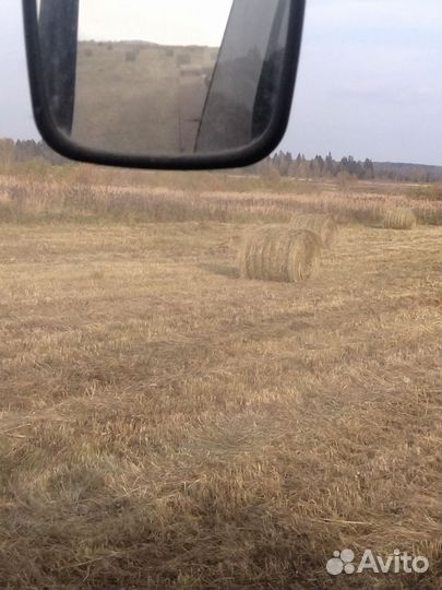Сено в рулонах