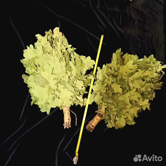 Дубовые веники для бани