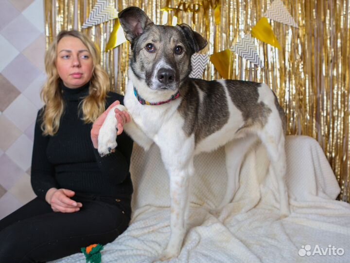 Молодой веселый пес в добрые руки