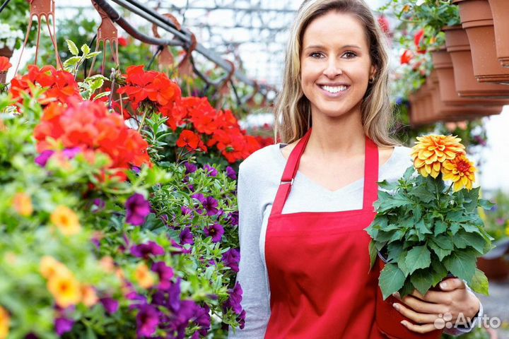 Продавец - растениевод