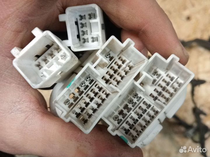 Проводка двери Chevrolet Aveo t250 седан