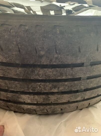 Maxxis Premitra HP5 205/60 R16 92V