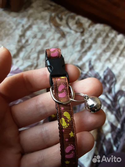 Ошейник с колокольчиком