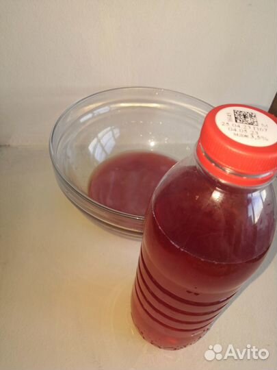 Чайный гриб комбуча