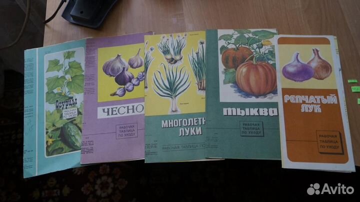 Буклеты брошюры сад огород овощи фрукты садоводств