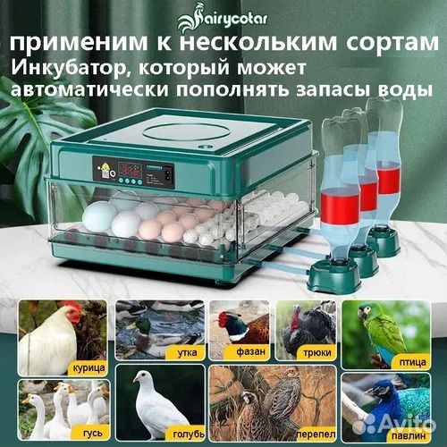 Инкубатор для яиц автоматический 42 яиц